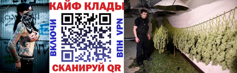 Цена Волгоград Alpha-PVP  Меф мяу мяу  блэк спрут ссылка  КОКАИН  Конопля 