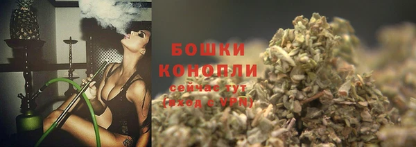 прущие крисы Аркадак